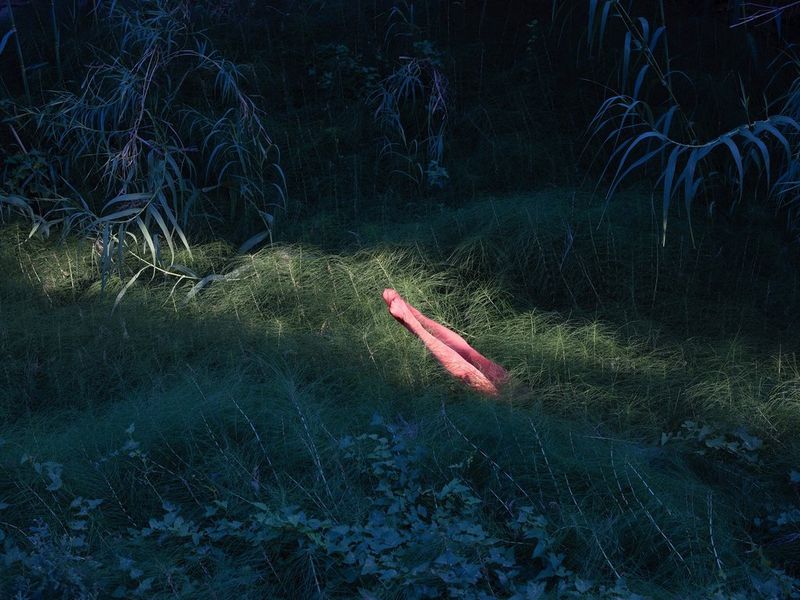 Une paire de jambes vêtues de collants roses surgit d'un tapis de fougères ombragé.