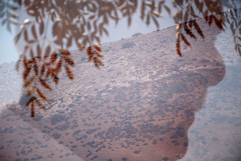 Double exposition d'un fermier inspectant ses terres en Palestine.