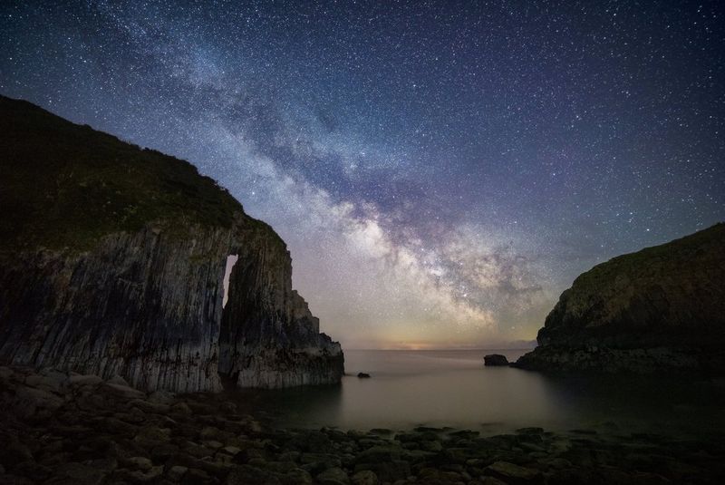 Qué pasa con las Estrellas de Mar l Mini Documental 