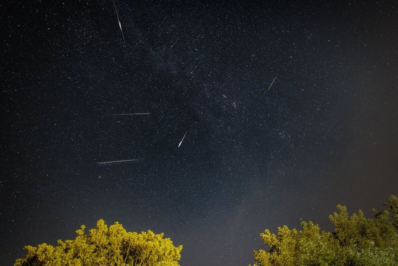 Un'immagine a lunga esposizione di un cielo stellato con diverse scie di meteore, tutto visibile sopra le cime degli alberi. Scatto realizzato con un obiettivo Canon RF 15-35mm F2.8 L IS USM.