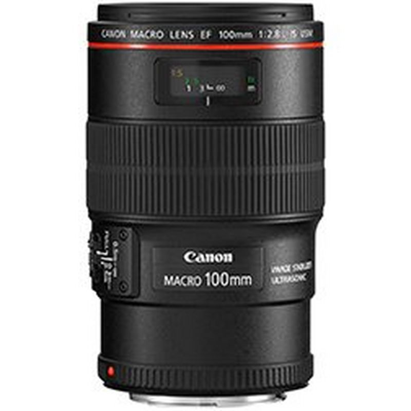 The Canon EF 100mm f/2.8L Macro IS USM lens.