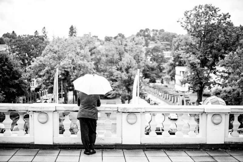 A man under an umbrella pictured from behind leaning on a stone parapet facing a tree-lined park.