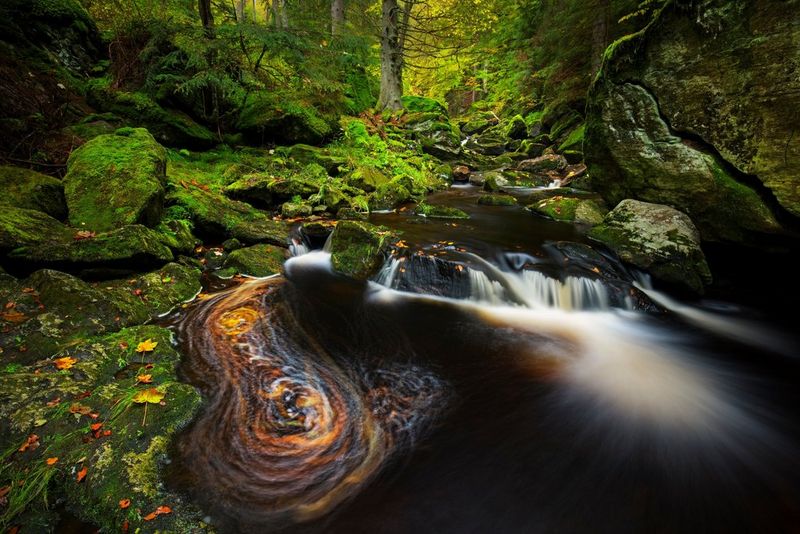 Longue exposition d'une rivière traversant une forêt, qui lui confère un aspect aérien.