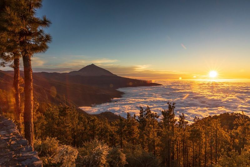 A brilliant sun rises above low-lying clouds. In the foreground is a dense, lush forest. In the background, a mountain range bathed in early morning light.