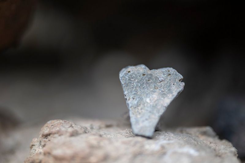 A pin-sharp close-up of a small stone on a larger rock. 