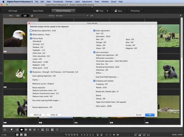 canon digital professional photgraphy reset