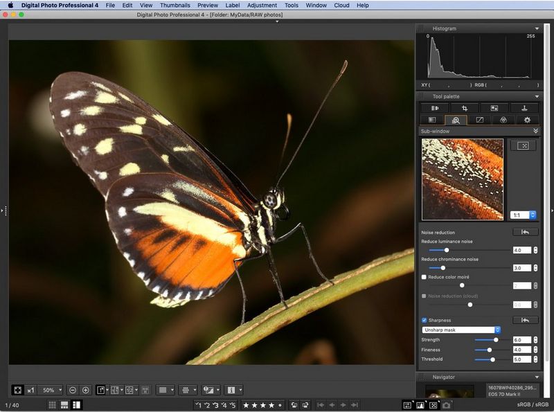 A close-up photo of a red admiral butterfly being sharpened in DPP using Unsharp Mask.