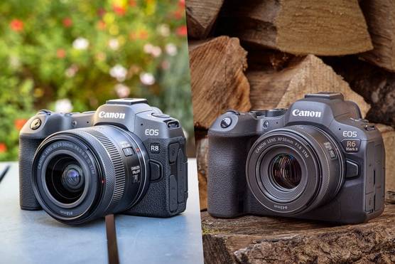 On the left, a Canon EOS R8 on a table with greenery blurred in the background. On the right, a Canon EOS R6 Mark II on a rough-hewn piece of wood, with a pile of split logs in the background.