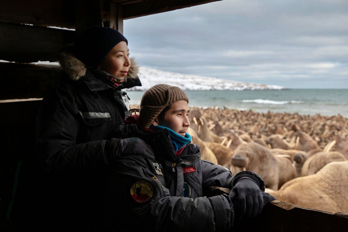 Die Filmemacherin Evgenia Arbugaeva und ihr Bruder Maxim Arbugaev sitzen neben einem Fenster und betrachten eine große Zahl von Walrossen am Strand; das Foto wurde mit der Canon EOS R5 aufgenommen.