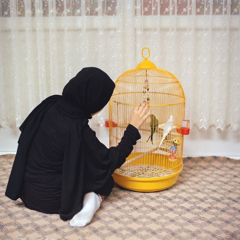 A young girl dressed in traditional Muslim clothes, turned away from the camera. plays with pet birds in a yellow wire cage at a Qur'an school in Turkey.