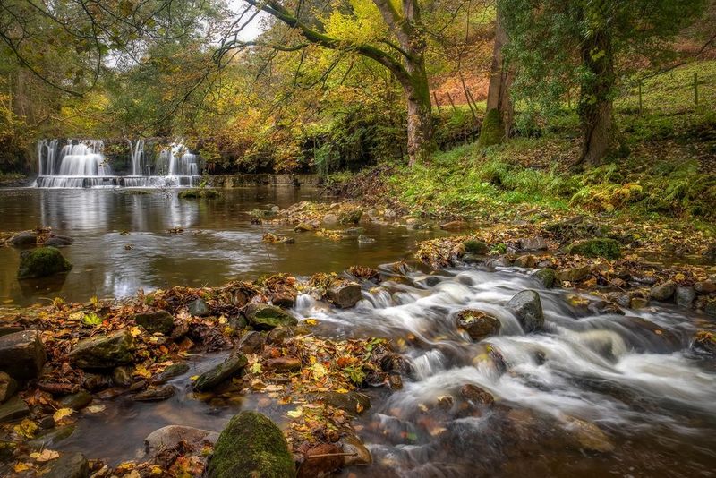 Photo d'une rivière au sein d'une forêt en automne, aux détails d'une netteté exceptionnelle du premier plan à l'arrière-plan, prise par Chris Ceaser à l'aide de la technique d'empilement des mises au point.