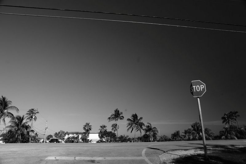 A black and white photograph of a road intersection. There is a damaged Stop sign on the right, and many palm trees along the far edge of the road. There is no traffic visible.