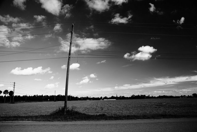 A black and white photograph of a telegraph pole strung with wires, on the border between a road and a ploughed field.