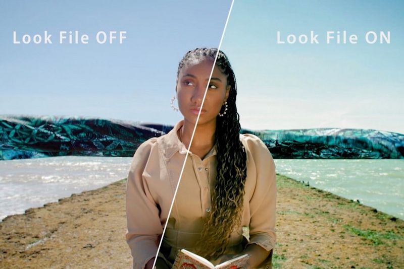 How to use 3D LUTs on the Canon EOS C70