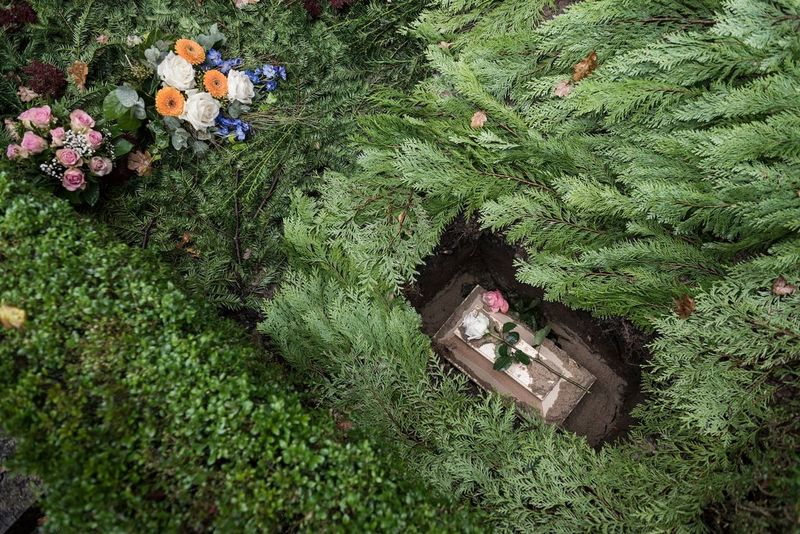Un cercueil de bébé dans sa tombe, entouré de feuillage et de fleurs.