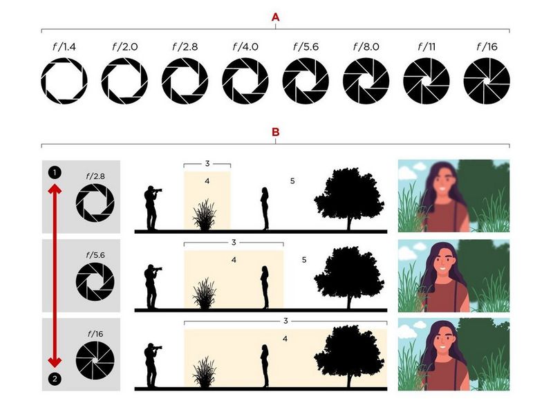 Depth Of Field Chart Canon