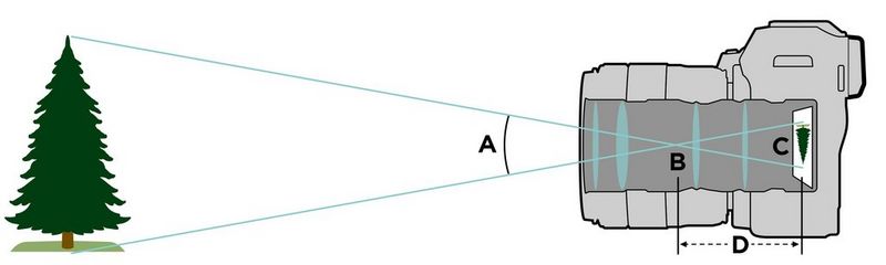 Understanding focal length - Canon Cyprus