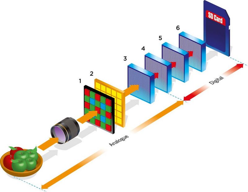 Sensores de imagen: explicación del núcleo de la cámara digital