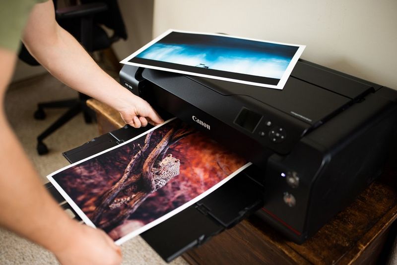 Unas manos sacan una impresión a gran escala de un leopardo en un árbol de la bandeja de una impresora Canon imagePROGRAF PRO-1000; hay una segunda impresión sobre la impresora.