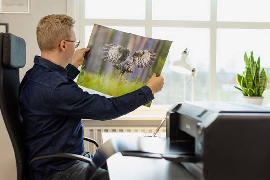 A seated man holds up and examines a large print of an owl swooping over grass. A Canon printer is on the desk in front of him.