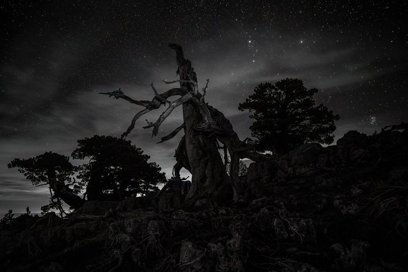 Black and white nature photography - Canon Cyprus