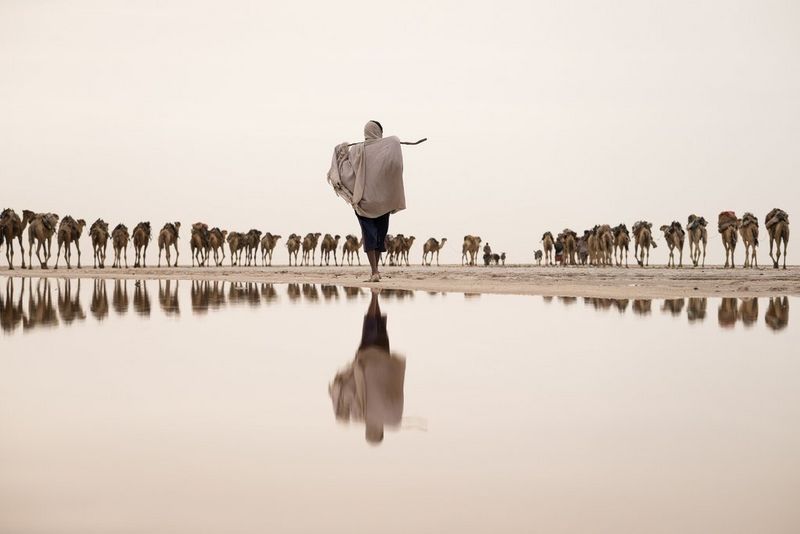 A salt miner's reflection is visible in the water, while a caravan of dromedary camels walks through the middle of the frame in a minimalist photograph by Joel Santos.