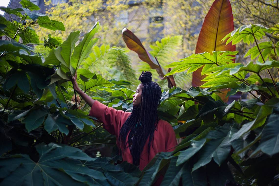 Vocalist and songwriter Desta Haile in side profile, surrounded by foliage. 