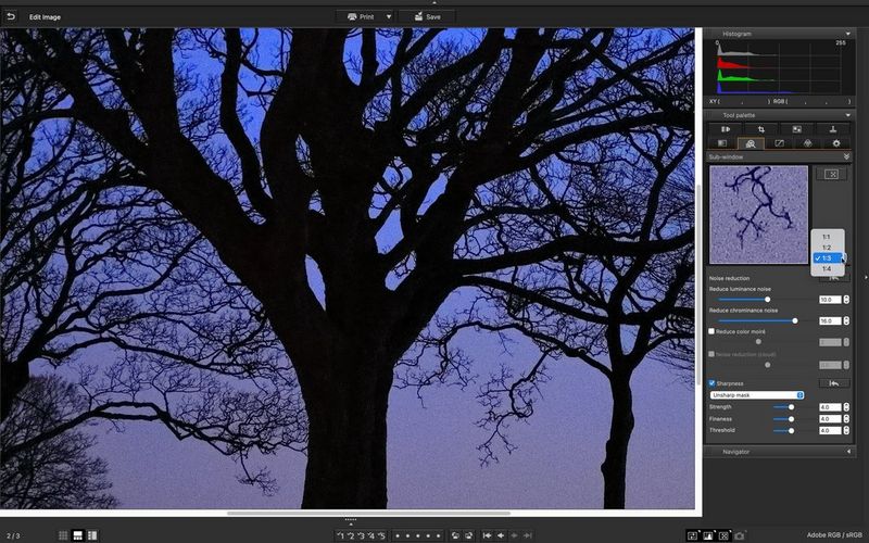 A screenshot of Digital Photo Professional showing a tree silhouetted against a purple sky, with noise reduction controls to the right.