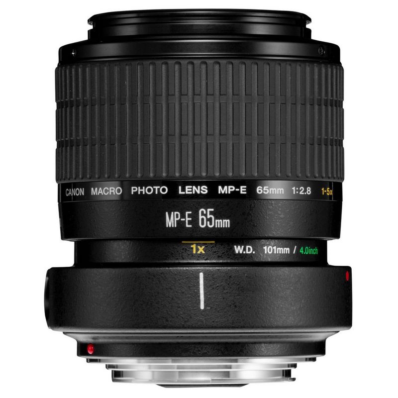 A Canon MP-E 65mm f/2.8 1-5x Macro Photo lens.