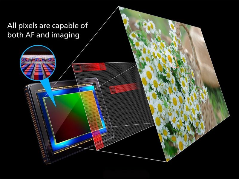 Diagram of the Dual Pixel CMOS AF system in EOS R System cameras.