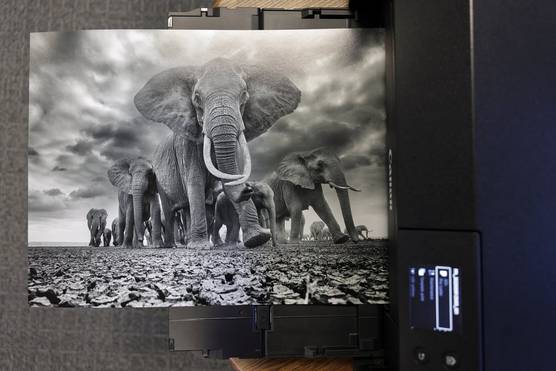 Achieving the perfect black and white photo print