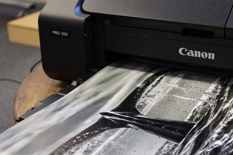 Принтер Canon imagePROGRAF PRO-300 распечатывает черно-белую фотографию хвоста кита.