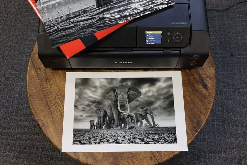 Canon Expands Business Inkjet and Laser Printer Portfolio with Four New  Printers to Help Provide Harmony at Work