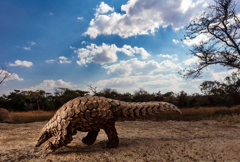 Estas son las razones de un fotógrafo de paisaje para cambiarse a