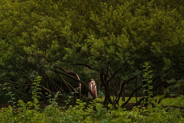 A bride and groom stand beneath the boughs of a huge tree, photographed from afar by Sanjay Jogia