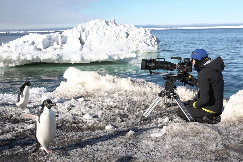 Filmer des documentaires animaliers de grande qualité avec un objectif Canon CN20x50