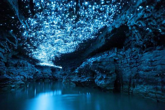 The interior of a flooded cave with thousands of stalactites illuminated by blue lights.