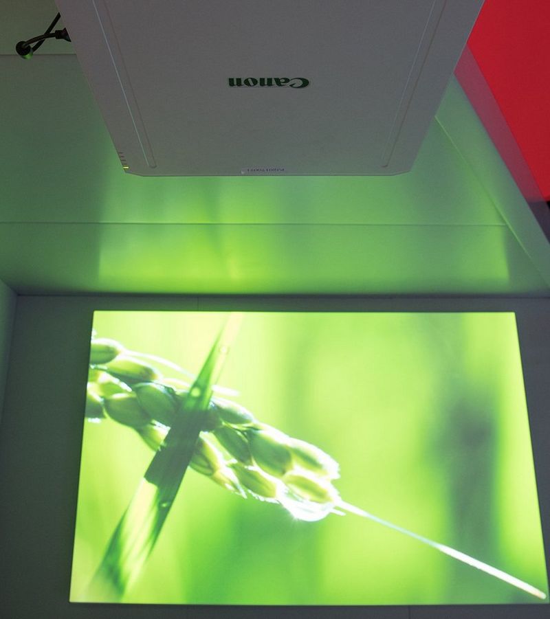 projection of plant