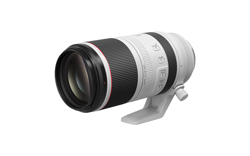 RF 100-500mm F4.5-7.1 L IS USM