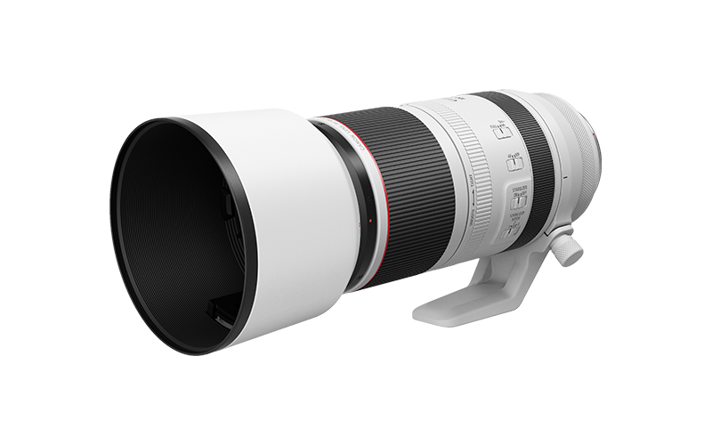 RF 100-500mm F4.5-7.1 L IS USM