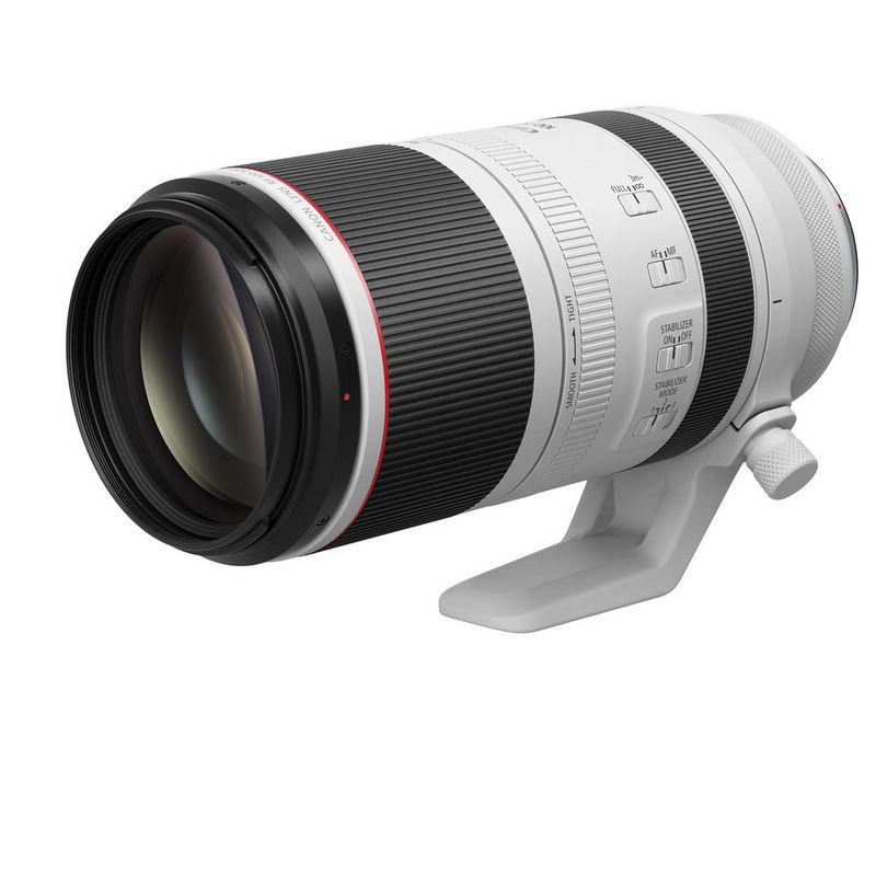 Canon RF 100-500mm F4.5-7.1 L IS USM - Canon Europe