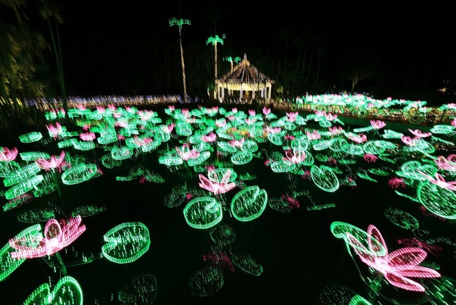 A long exposure of illuminated lily pads and flowers, taken with the lens IS switched off, in which the lights appear blurred.