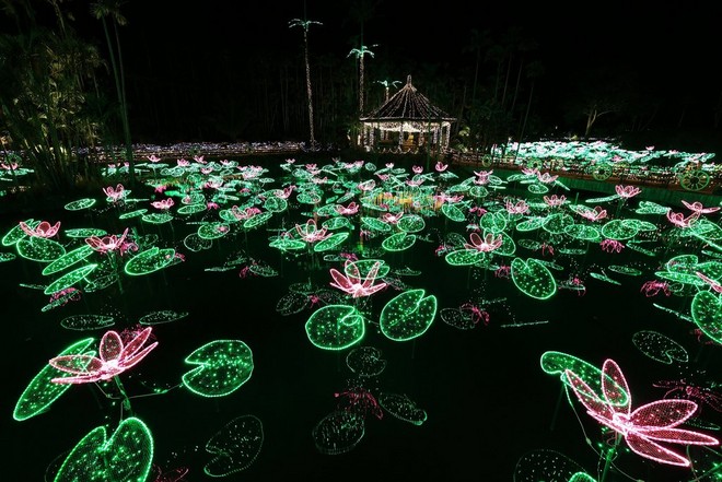 A long exposure of illuminated lily pads and flowers, taken with the lens IS switched on, in which the lights appear sharp.