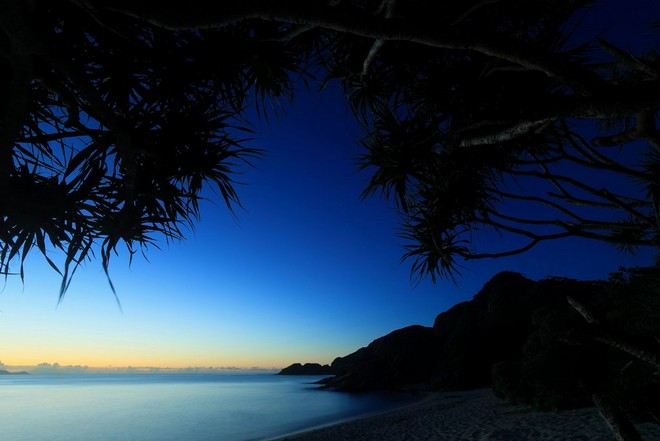 صورة تم التقاطها في ظروف إضاءة منخفضة لشاطئ صخري محاط بأشجار ظلية يظهر فيها وهج الأفق من مسافة بعيدة.