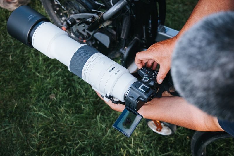 Wildlife photography with the RF 200-800mm F6.3-9 IS USM - Canon 