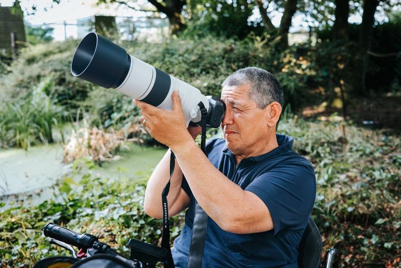 Canon RF 200-800mm f6.3-9 review so far