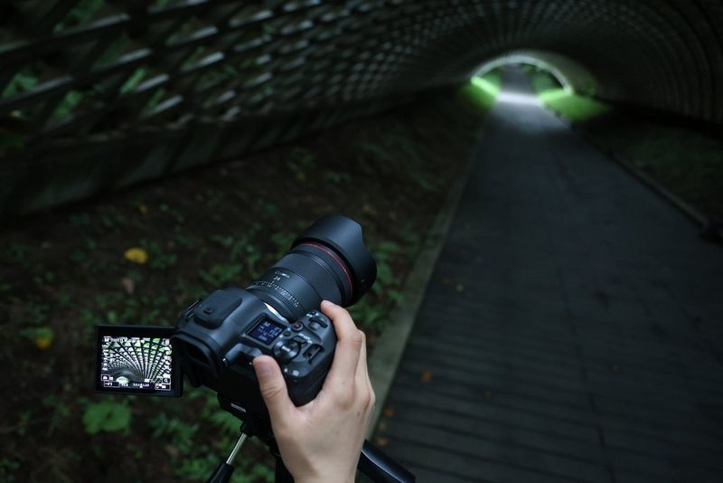 RF 24mm F1.4L VCM