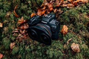 A Canon EOS R5 camera with a Canon RF 5.2mm F2.8L Dual Fisheye lens positioned on a mossy surface next to fallen autumn leaves.
