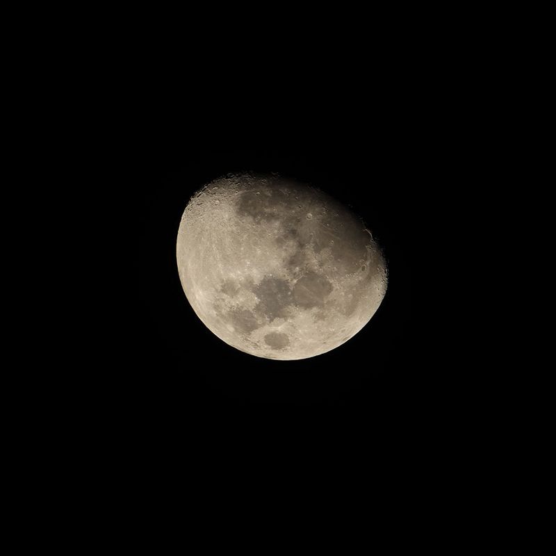 Canon RF 800mm F11 IS STM