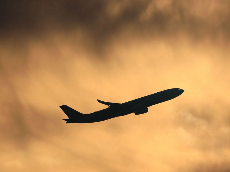 Canon RF 800mm F11 IS STM